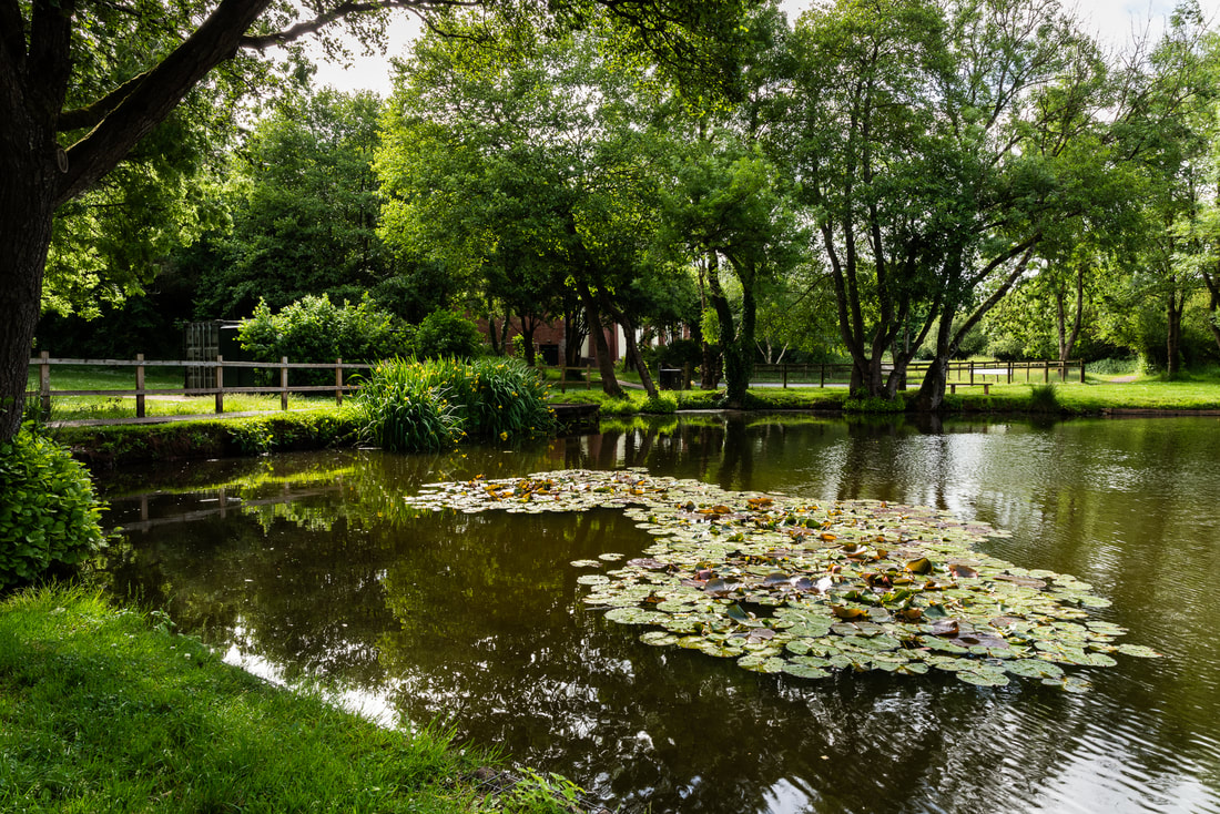Mindfulness in Photography – A Wellbeing Photo Walk in Wellington, Somerset